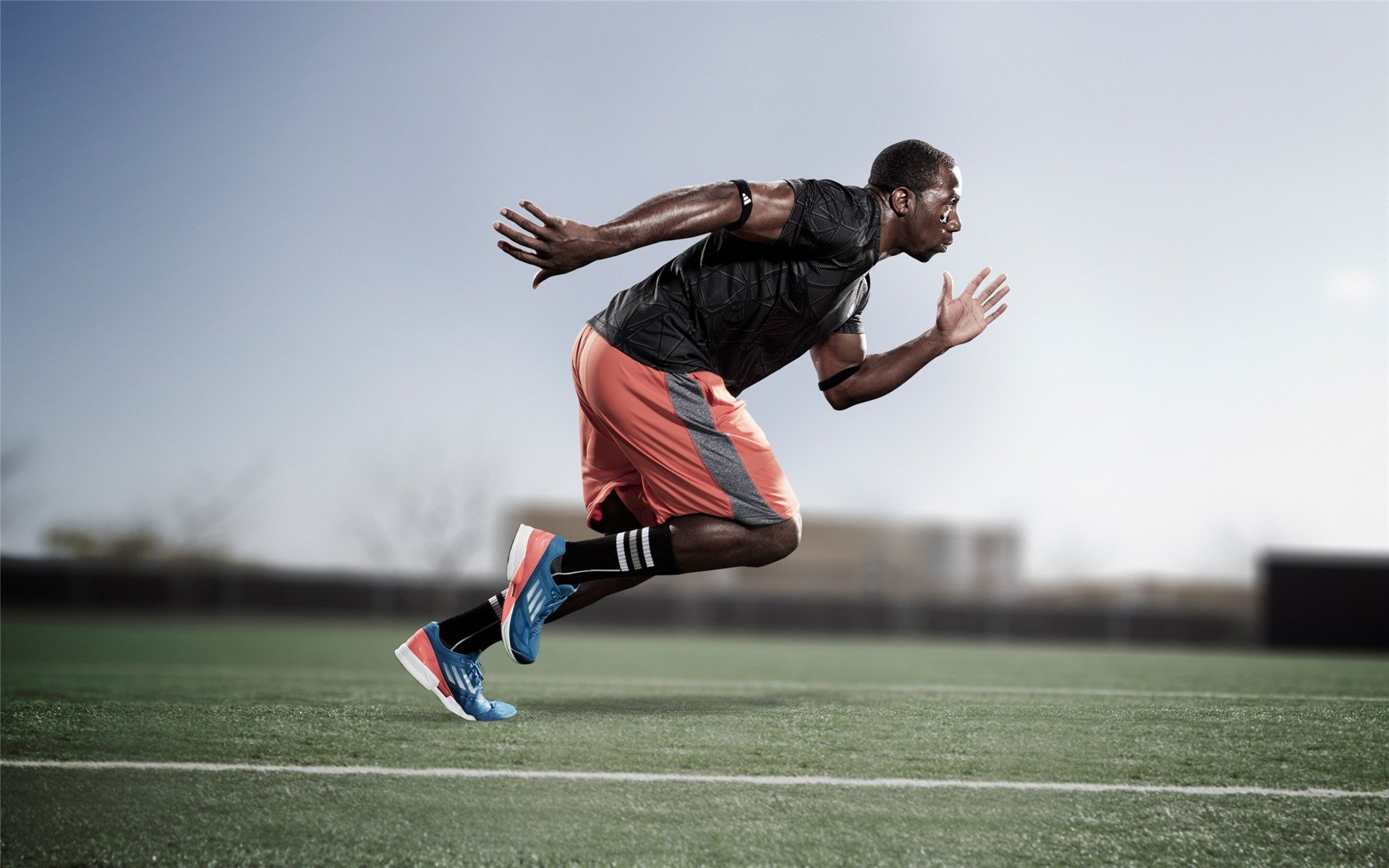 卢卡斯·梅尔滕斯：德国自由泳的坚实支柱